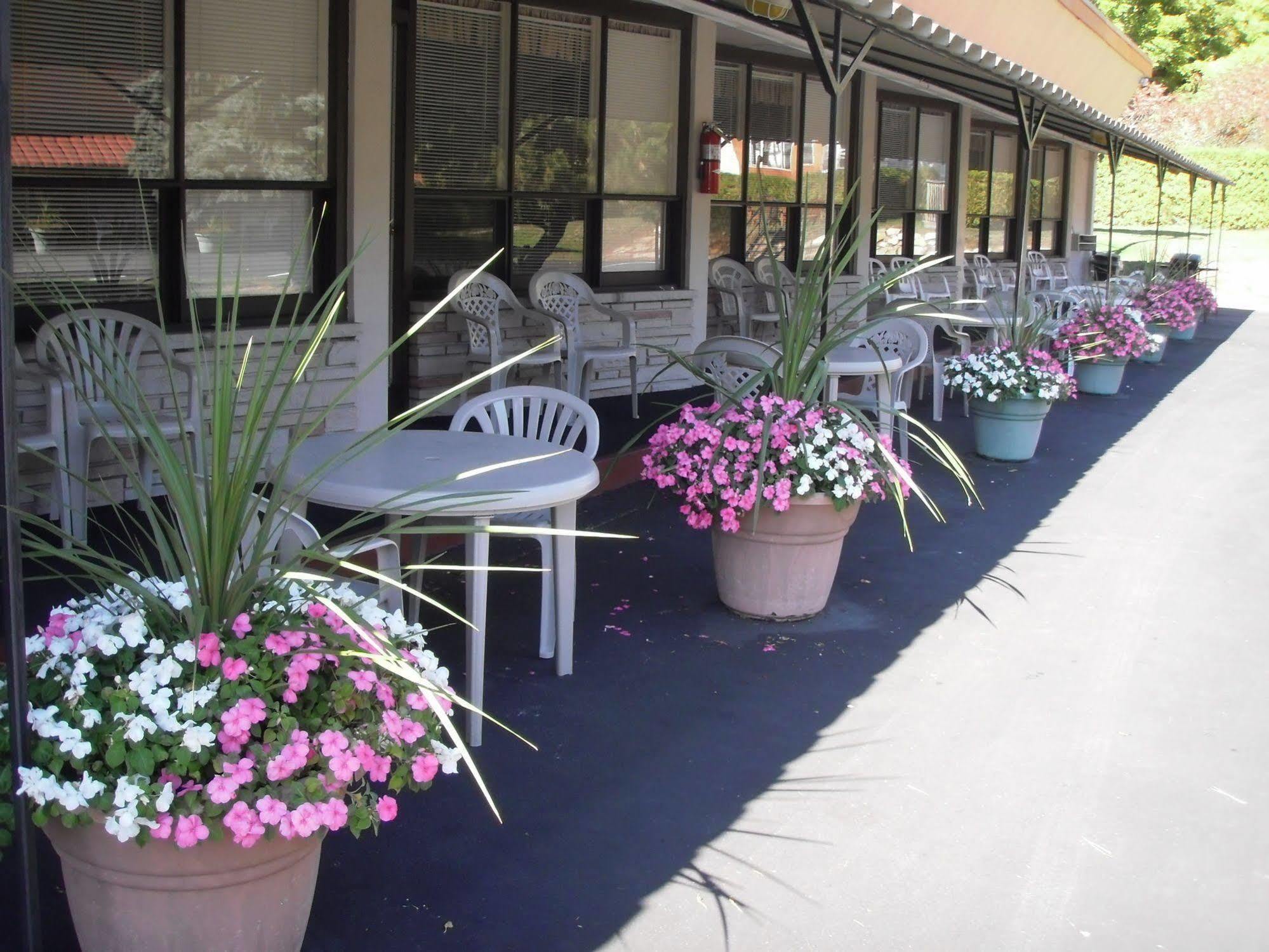 Capricorn Motel Royale 1000 Islands Lansdowne Luaran gambar